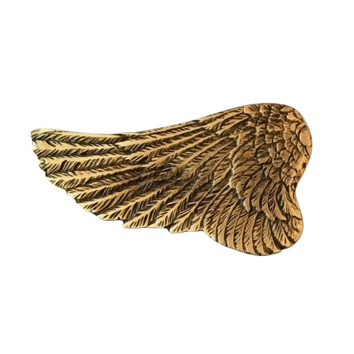 hebilla ala dorada
